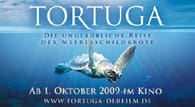 Big Wave’s Nick Stringer Attends German Premier of Tortuga